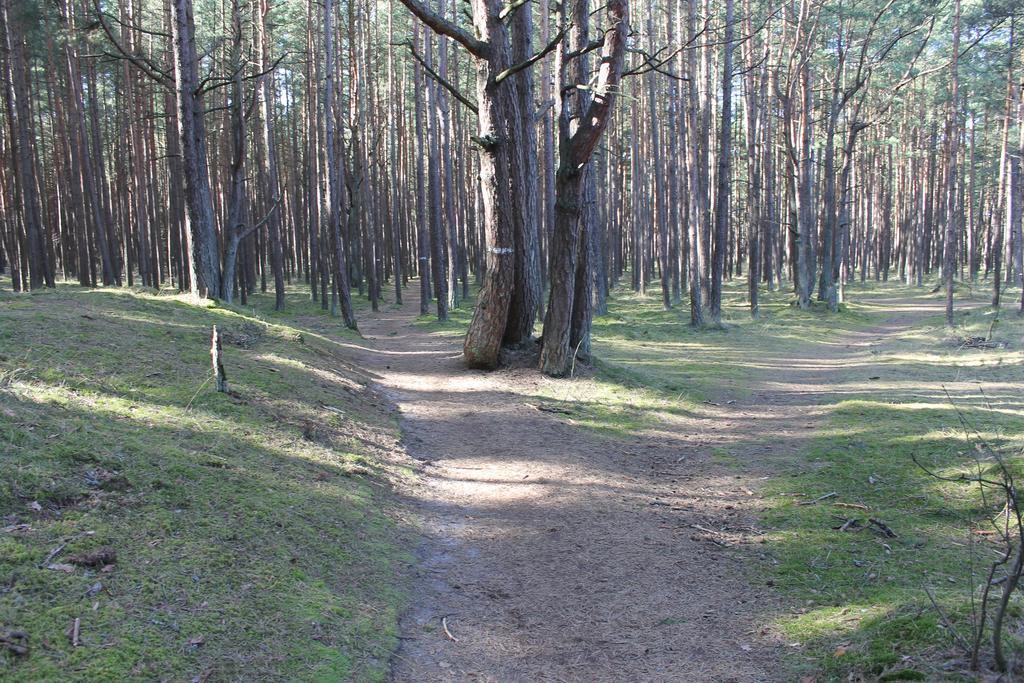 Studio Pluke Паланга Экстерьер фото